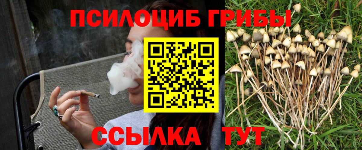 Псилоцибиновые грибы Cubensis Ирбит